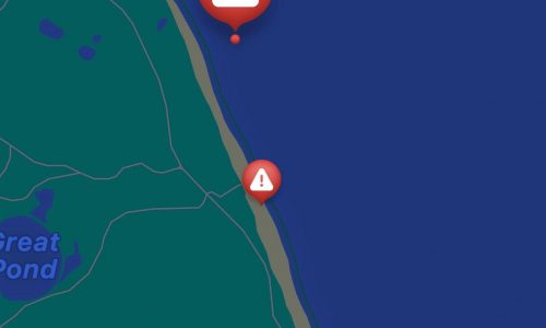 Cape Cod beaches shut down to swimming after shark sightings: ‘Be alert and stay safe at the beach’