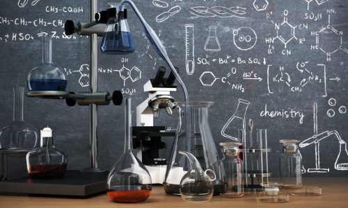 Shadi Bartsch-Zimmer: It’s time to end the two-cultures era between science and the humanities