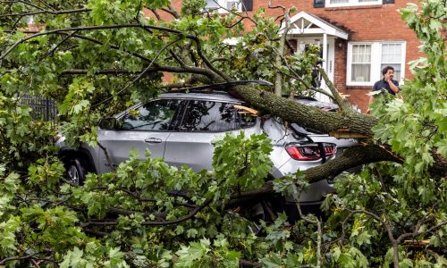 Debby’s aftermath leaves thousands in the dark