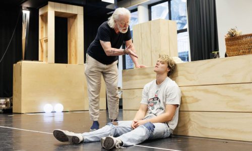 Terrence Mann returns to Shakespeare in ART’s  ‘Romeo & Juliet’