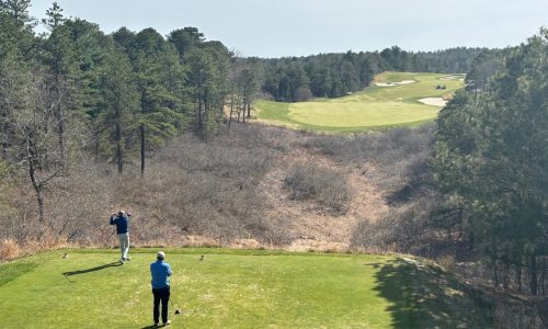 Tee Thursday: Plymouth rocks for elite courses