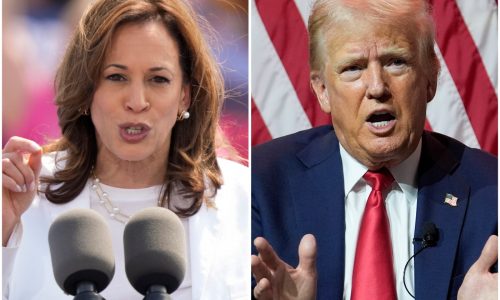 Kamala Harris leads Trump by 4 points in new 2024 poll