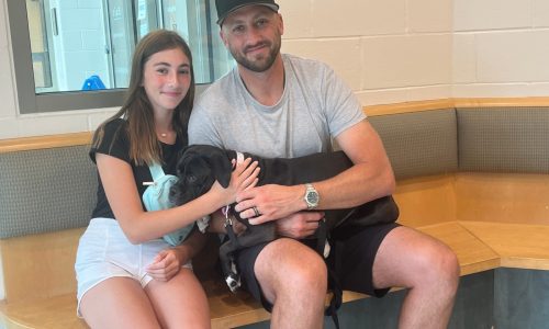 Former New England Patriots QB turns heartbreak into a forever home for two dogs