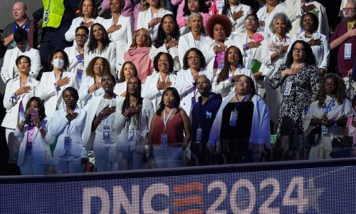 Female delegates at the DNC are wearing white to honor women’s suffrage on night of Harris’ speech