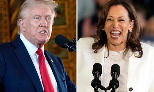 Trump continues to fall behind Harris in national polls, surveys taken ahead of DNC show