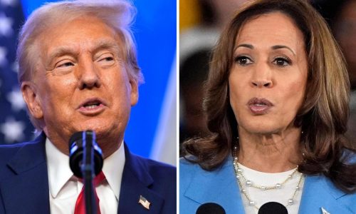 Presidential transition planning has begun in earnest, but Trump and Harris are already behind