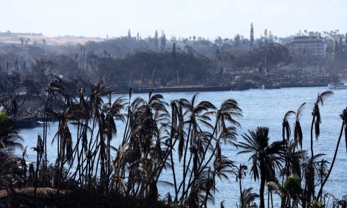 Today in History: August 8, devastating Maui wildfires