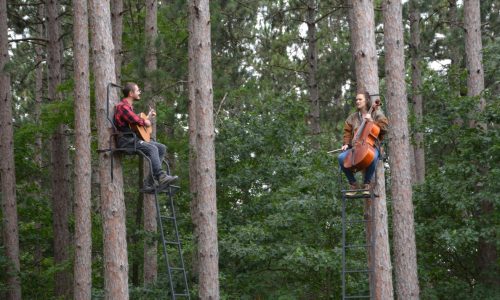 Musicians to perform up in trees in Belwin Conservatory concerts