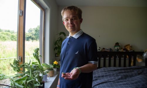 A Cottage Grove man raises — and tracks — monarch butterflies from eggs on milkweed leaves to flights to Mexico