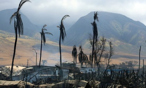 What it’s like to travel to Maui right now — a year after the catastrophic wildfires