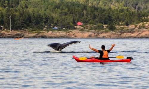 Kayaking in unusual places gives a unique perspective to sightseeing