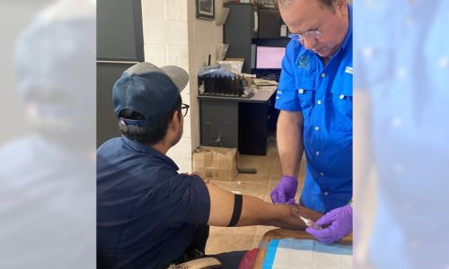 Bird flu cases are going undetected, new study suggests. It’s a problem for all of us