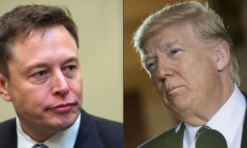 Musk cozies up to Trump, pitches administration role for himself