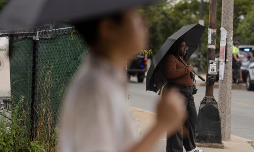 Break out the pumpkin spice: Massachusetts in store for pleasant, fall-like conditions