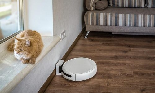 Keep your home fur-free with the best robot vacuums for pet hair