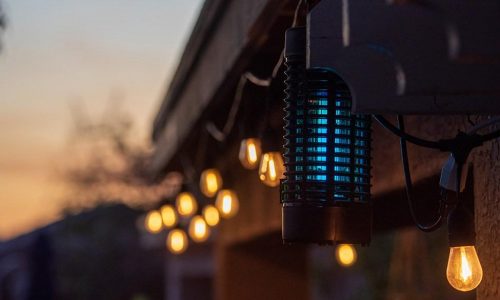 Everything you need to know about choosing a bug zapper