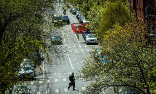 Opinion: Heat Waves Show Why NYC Needs More Trees