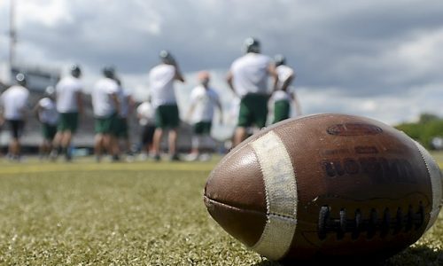 High school football: Cretin-Derham Hall opens with win against Tartan