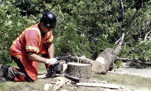 Backed by new sales tax, St. Paul Parks and Rec launches 100 projects