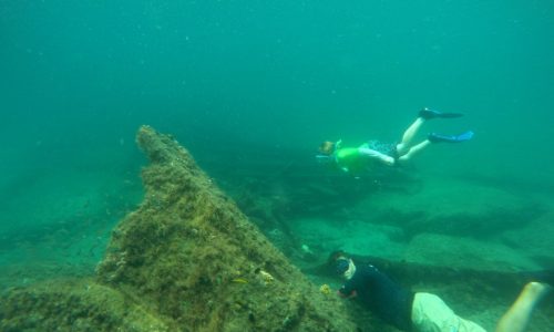 Snorkeling in South Florida: Check out these 6 must-see spots