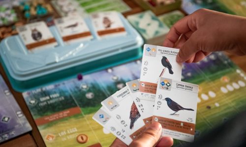 A board game for birders: How Wingspan used stunning bird illustrations to sell millions of copies