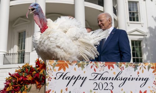 2 Minnesota turkeys will head to the White House in November