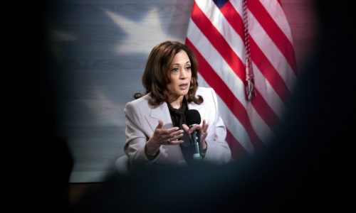 Harris condemns Trump rhetoric, says voters should make sure he ‘can’t have that microphone again’