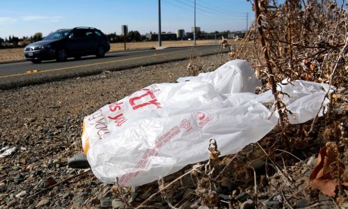 California bans plastic shopping bags 