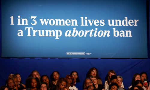 Buss: Dems’ abortion-obsessed campaigns distort truth