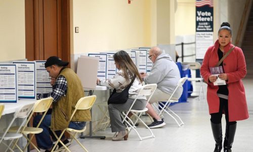 China-linked ‘Spamouflage’ network mimics Americans online to sway US political debate