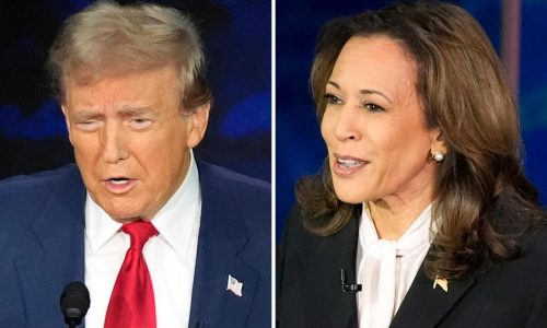 For Harris and Trump, facial expressions did much of the talking during presidential debate