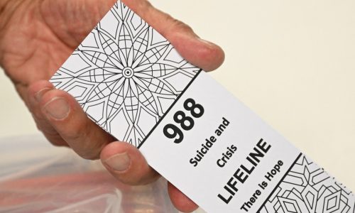 Decades of national suicide prevention policies haven’t slowed the deaths