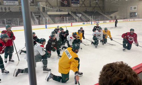 Wild coach John Hynes approves of scrimmage intensity in Day 2 of training camp