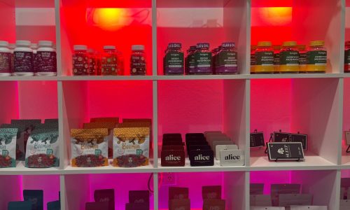 Minnesota’s first mushroom dispensary is opening in St. Paul Wednesday