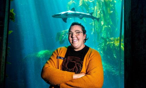 Why one California woman went on a quest for the perfect shark emoji