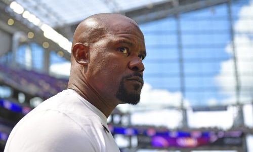 Brian Flores has his fingerprints all over this Vikings defense