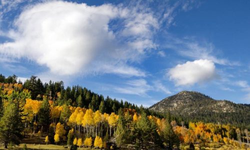 Here’s your fall travel cheat sheet including cheapest flights and top destinations