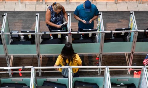 Some Nevadans, facing obstacles to voting, have started casting ballots digitally