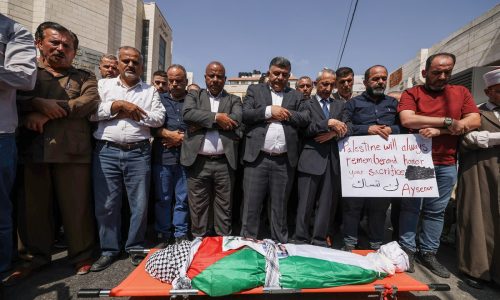 Israel says military shot dead US-Turkish woman by mistake