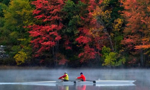 The Midwest could offer fall’s most electric foliage but leaf peepers elsewhere won’t miss out