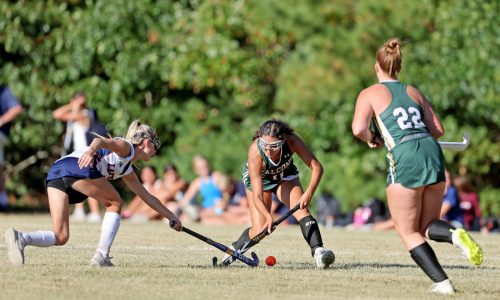 Division 1-2 high school field hockey preview: Walpole hungry to net 14th state championship