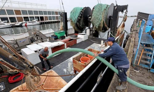 New England fishermen steam over developing Gulf of Maine into offshore wind hub