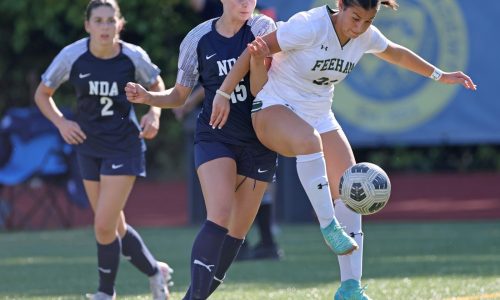 Girls soccer preview: Natick Redhawks have talent to soar to another state title