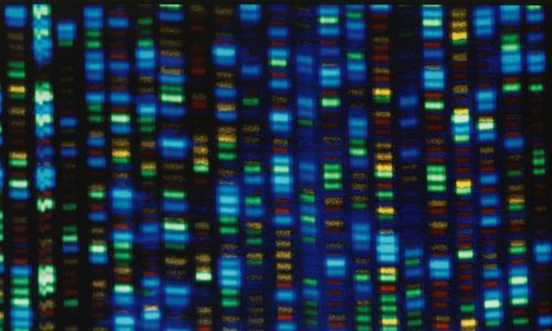 Hennepin County Sheriff’s Office suspends DNA testing after issue at crime lab