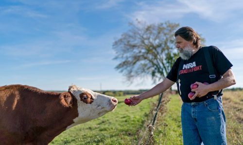 F.D. Flam: Lock down the cows to prevent further bird flu spread