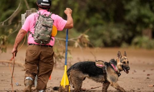 Walz authorizes Minnesota National Guard to assist with Hurricane Helen response