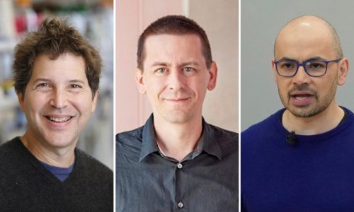 Nobel Prize in chemistry awarded to 3 scientists for work on proteins, building blocks of life