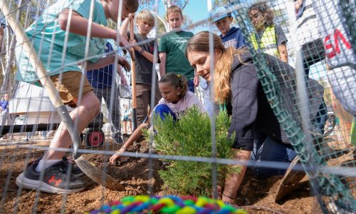 School plants a ‘Moon Tree’ grown with seeds flown in space