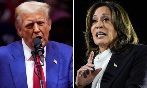 Two closing arguments show the stark choice between Trump and Harris