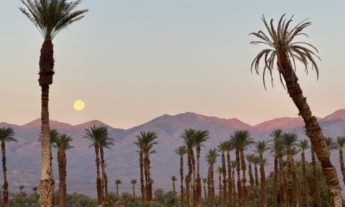 Death Valley comes to life with a bucket-list stay at The Oasis sites